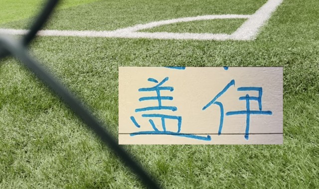 Leyu 体育网站-如果没超频版“马莱莱” 申花怎么战北京国安+天津+海港